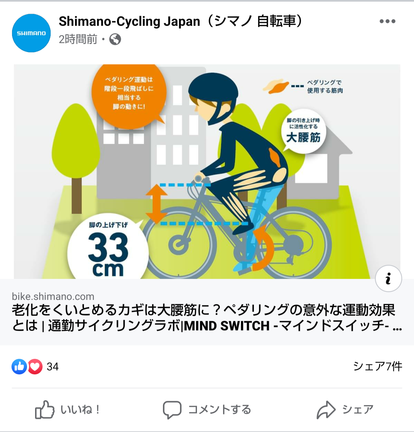 https://bike.shimano.com/ja-jp/mindswitch/lab/32/